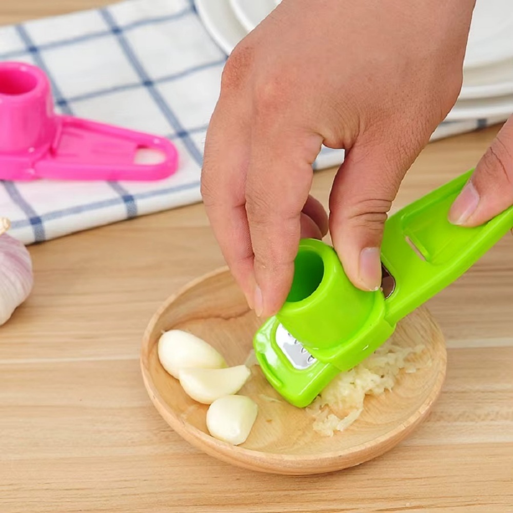 1PCS Mini Garlic Press Grinder - Manual Garlic Press review and price