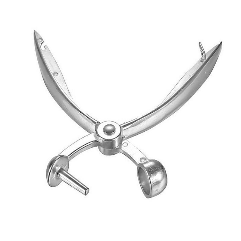 Fruit Pitter Cherry Jujube Cor - Kitchen Gadgets For Cooking review and price