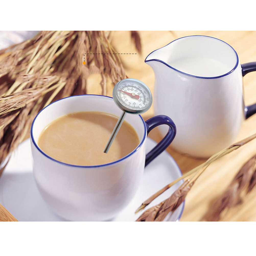 Stainless Steel Food Thermomet - Meat Thermometer review and price