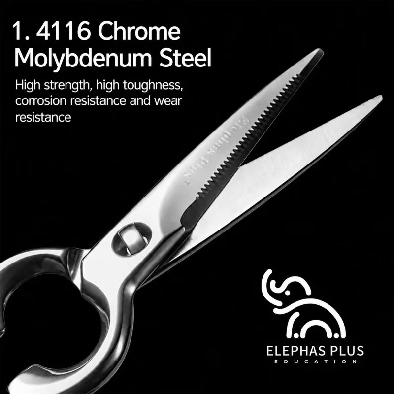 Detachable Kitchen Scissors St - Kitchen Gadgets For Cooking review and price